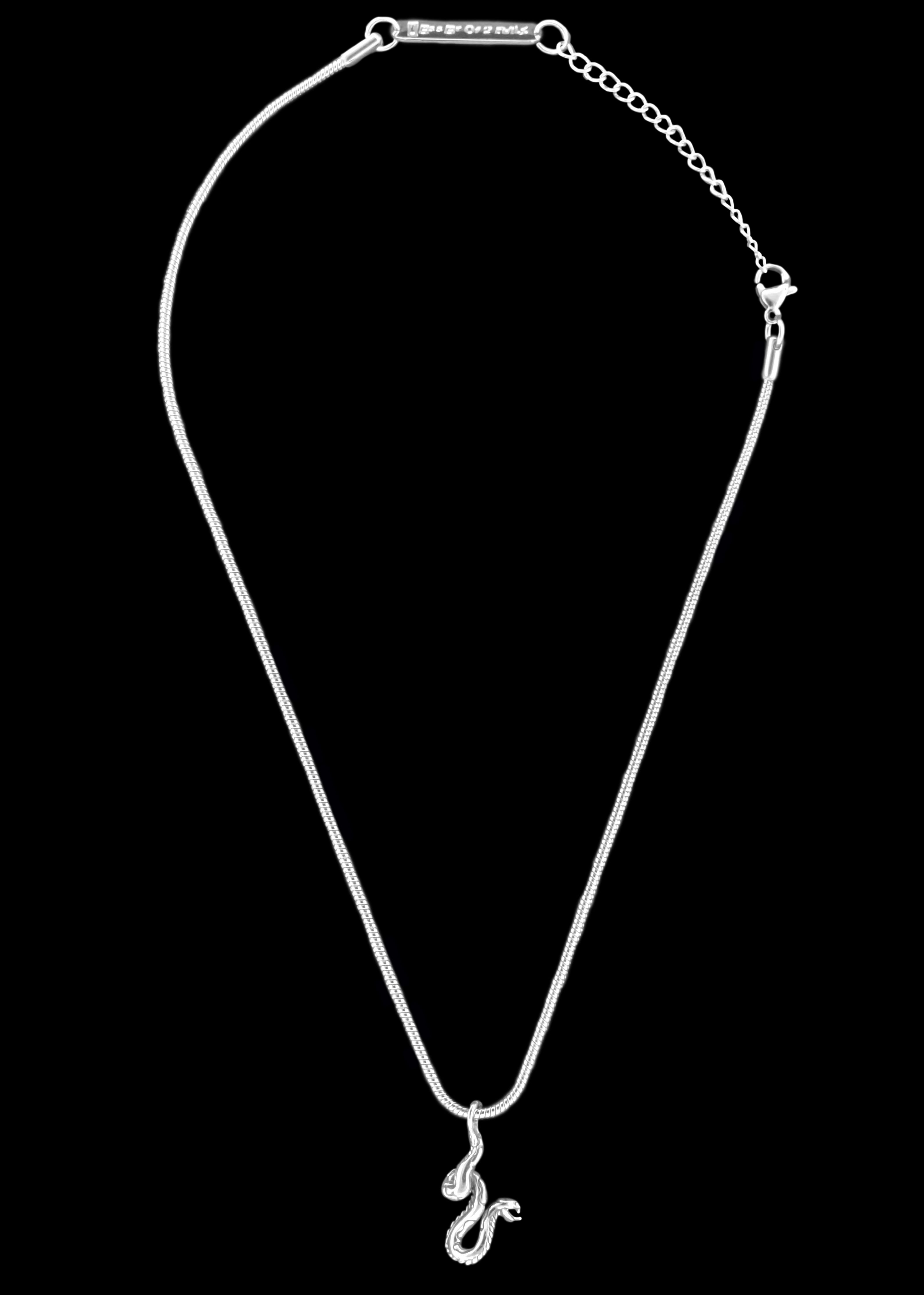 Snake Necklace 1 Lesser of 2 Evils